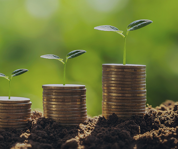 FSC认证费用概览